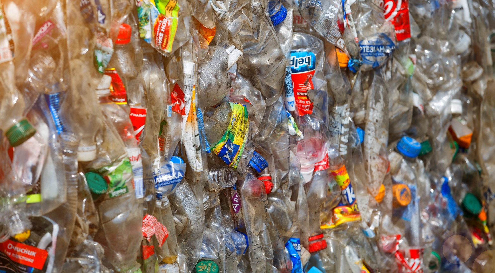 サステナビリティ事業